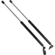 Purchase Top-Quality Lift Support by STRONG ARM - 4221L pa6
