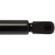 Purchase Top-Quality Lift Support by STRONG ARM - 4257 pa8