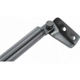 Purchase Top-Quality Lift Support by STRONG ARM - 4283R pa11