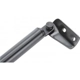 Purchase Top-Quality Lift Support by STRONG ARM - 4283R pa7