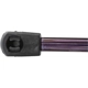 Purchase Top-Quality Lift Support by STRONG ARM - 4283R pa8