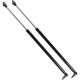 Purchase Top-Quality Lift Support by STRONG ARM - 4290 pa9