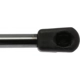 Purchase Top-Quality Lift Support by STRONG ARM - 4304 pa10