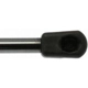 Purchase Top-Quality Lift Support by STRONG ARM - 4304 pa13