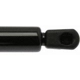 Purchase Top-Quality Lift Support by STRONG ARM - 4304 pa14
