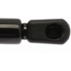 Purchase Top-Quality Lift Support by STRONG ARM - 4326 pa11