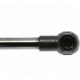 Purchase Top-Quality STRONG ARM - 4329 - Lift Support pa6