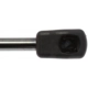 Purchase Top-Quality Lift Support by STRONG ARM - 4339 pa8