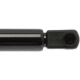 Purchase Top-Quality Lift Support by STRONG ARM - 4341 pa6