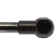 Purchase Top-Quality Lift Support by STRONG ARM - 4346 pa8
