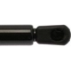Purchase Top-Quality Lift Support by STRONG ARM - 4351 pa3