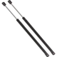 Purchase Top-Quality Lift Support by STRONG ARM - 4352 pa9