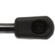 Purchase Top-Quality Lift Support by STRONG ARM - 4357 pa11