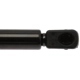 Purchase Top-Quality Lift Support by STRONG ARM - 4358 pa7