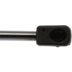 Purchase Top-Quality Lift Support by STRONG ARM - 4358 pa8