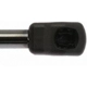 Purchase Top-Quality Lift Support by STRONG ARM - 4361 pa2