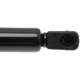 Purchase Top-Quality Lift Support by STRONG ARM - 4363 pa10