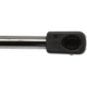 Purchase Top-Quality Lift Support by STRONG ARM - 4363 pa9