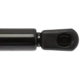 Purchase Top-Quality STRONG ARM - 4364 - Lift Support pa8