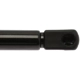 Purchase Top-Quality Lift Support by STRONG ARM - 4365 pa8
