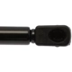 Purchase Top-Quality Lift Support by STRONG ARM - 4366 pa8