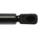 Purchase Top-Quality Lift Support by STRONG ARM - 4369 pa10