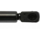 Purchase Top-Quality Lift Support by STRONG ARM - 4369 pa6