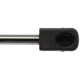 Purchase Top-Quality Lift Support by STRONG ARM - 4369 pa9