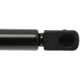 Purchase Top-Quality STRONG ARM - 4370 - Lift Support pa8