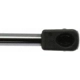 Purchase Top-Quality Lift Support by STRONG ARM - 4373 pa2