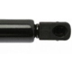 Purchase Top-Quality Lift Support by STRONG ARM - 4373 pa3