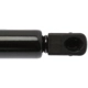 Purchase Top-Quality Lift Support by STRONG ARM - 4373 pa6