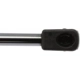 Purchase Top-Quality Lift Support by STRONG ARM - 4373 pa7