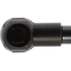 Purchase Top-Quality Lift Support by STRONG ARM - 4383 pa7