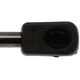 Purchase Top-Quality Lift Support by STRONG ARM - 4396 pa8