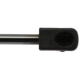 Purchase Top-Quality Lift Support by STRONG ARM - 4398 pa8