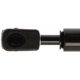 Purchase Top-Quality Lift Support by STRONG ARM - 4401 pa7