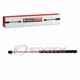 Purchase Top-Quality Lift Support by STRONG ARM - 4411 pa9