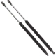 Purchase Top-Quality Lift Support by STRONG ARM - 4435 pa12