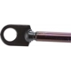 Purchase Top-Quality Lift Support by STRONG ARM - 4437 pa8
