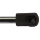Purchase Top-Quality Lift Support by STRONG ARM - 4462 pa7
