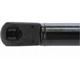 Purchase Top-Quality Lift Support by STRONG ARM - 4463 pa6