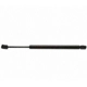 Purchase Top-Quality Lift Support by STRONG ARM - 4467 pa9