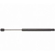 Purchase Top-Quality Lift Support by STRONG ARM - 4519 pa6