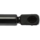 Purchase Top-Quality Lift Support by STRONG ARM - 4524 pa8
