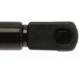 Purchase Top-Quality Lift Support by STRONG ARM - 4527 pa12