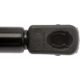 Purchase Top-Quality Lift Support by STRONG ARM - 4529 pa11