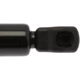 Purchase Top-Quality Lift Support by STRONG ARM - 4536 pa7