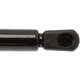 Purchase Top-Quality Lift Support by STRONG ARM - 4557 pa9