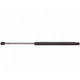 Purchase Top-Quality Lift Support by STRONG ARM - 4559 pa6